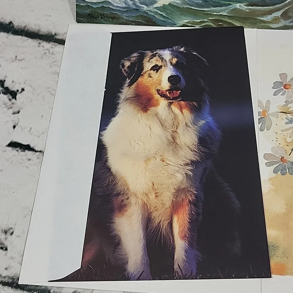 Greeting Cards Notecards Blank Inside Lot Of 5 Animals Flowers‎ Sailboat